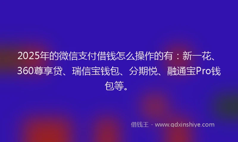 2025年的微信支付借钱怎么操作的有：新一花、360尊享贷、瑞信宝钱包、分期悦、融通宝Pro钱包等。