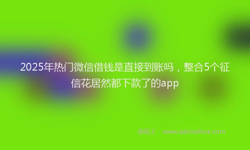 2025年热门微信借钱是直接到账吗，整合5个征信花居然都下款了的app