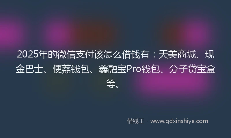 2025年的微信支付该怎么借钱有：天美商城、现金巴士、便荔钱包、鑫融宝Pro钱包、分子贷宝盒等。
