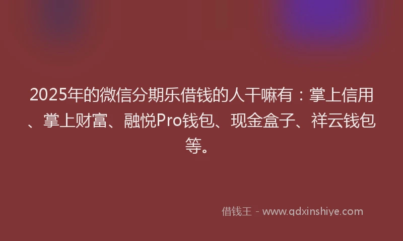 2025年的微信分期乐借钱的人干嘛有：掌上信用、掌上财富、融悦Pro钱包、现金盒子、祥云钱包等。