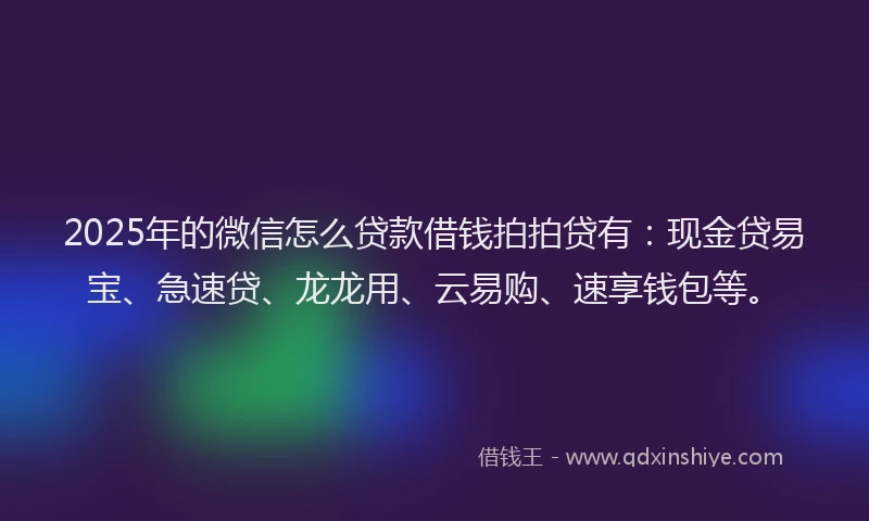2025年的微信怎么贷款借钱拍拍贷有：现金贷易宝、急速贷、龙龙用、云易购、速享钱包等。