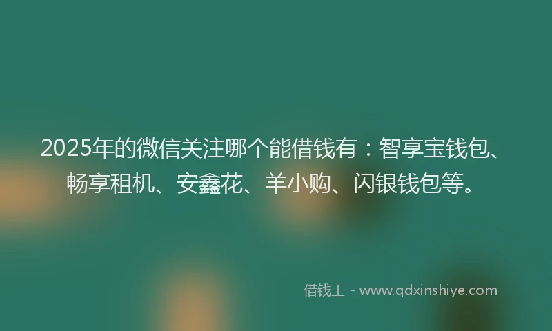 2025年的微信关注哪个能借钱有：智享宝钱包、畅享租机、安鑫花、羊小购、闪银钱包等。