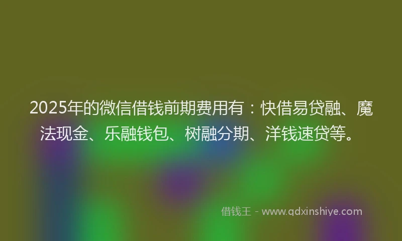 2025年的微信借钱前期费用有：快借易贷融、魔法现金、乐融钱包、树融分期、洋钱速贷等。