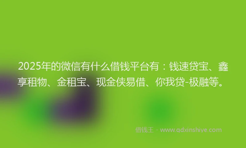 2025年的微信有什么借钱平台有：钱速贷宝、鑫享租物、金租宝、现金侠易借、你我贷-极融等。