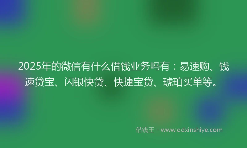 2025年的微信有什么借钱业务吗有：易速购、钱速贷宝、闪银快贷、快捷宝贷、琥珀买单等。