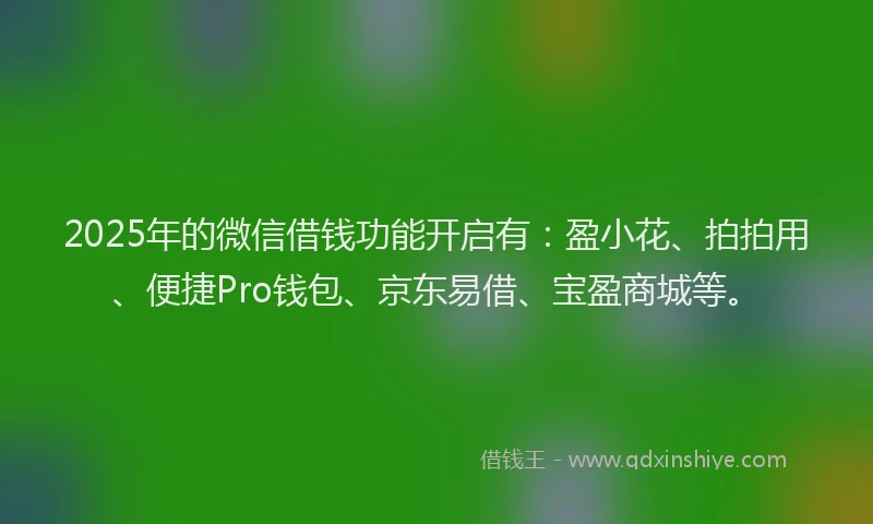 2025年的微信借钱功能开启有：盈小花、拍拍用、便捷Pro钱包、京东易借、宝盈商城等。