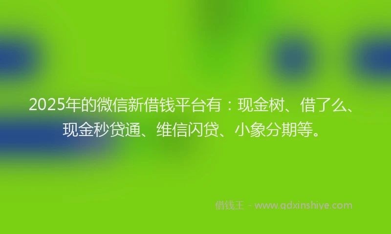 2025年的微信新借钱平台有：现金树、借了么、现金秒贷通、维信闪贷、小象分期等。