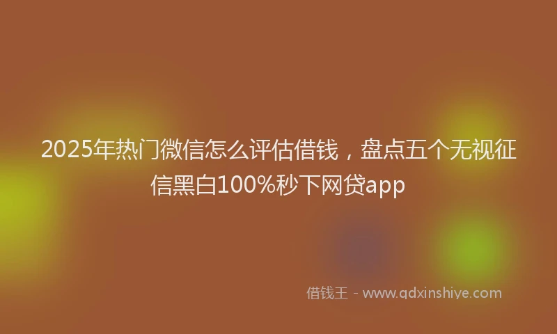 2025年热门微信怎么评估借钱，盘点五个无视征信黑白100%秒下网贷app