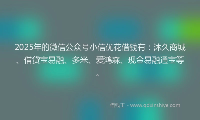 2025年的微信公众号小信优花借钱有：沐久商城、借贷宝易融、多米、爱鸿森、现金易融通宝等。