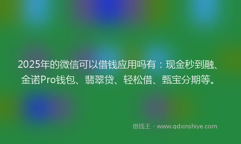 2025年的微信可以借钱应用吗有：现金秒到融、金诺Pro钱包、翡翠贷、轻松借、甄宝分期等。