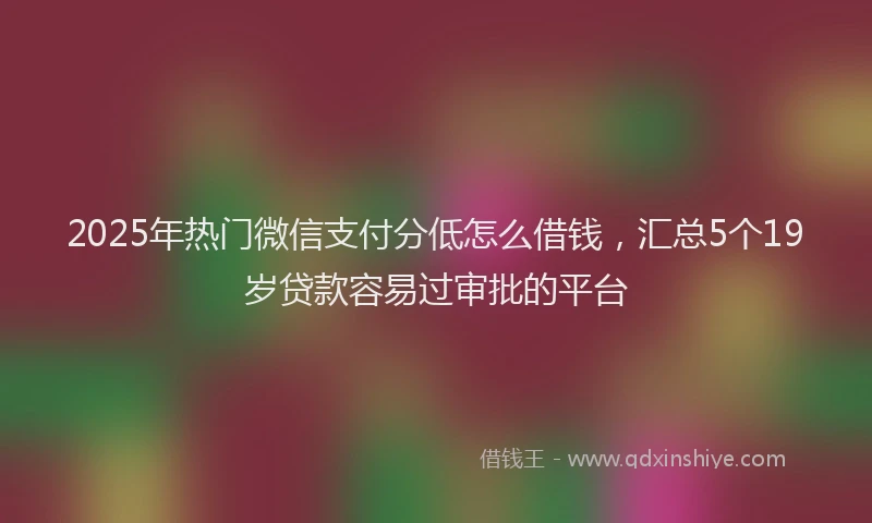 2025年热门微信支付分低怎么借钱，汇总5个19岁贷款容易过审批的平台