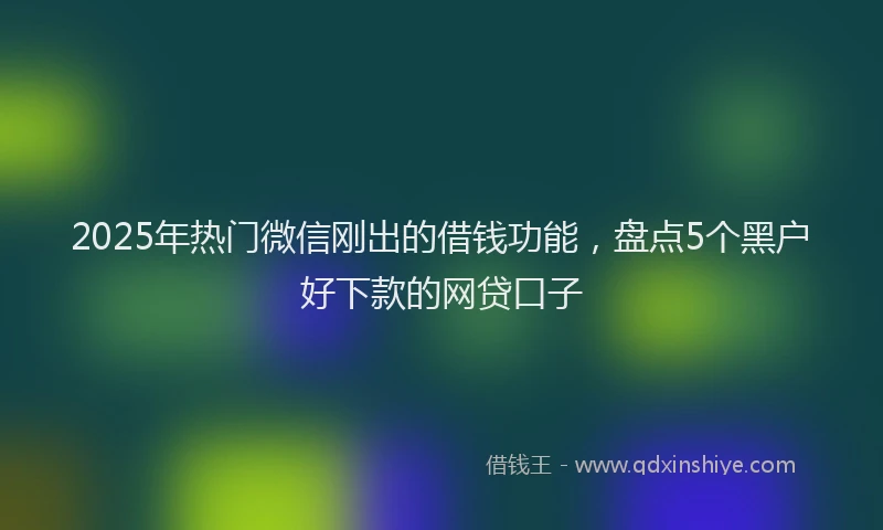 2025年热门微信刚出的借钱功能，盘点5个黑户好下款的网贷口子
