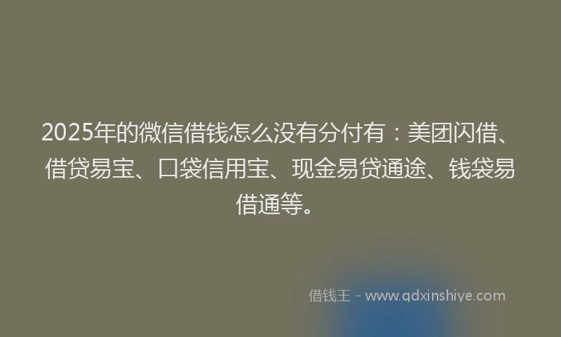 2025年的微信借钱怎么没有分付有：美团闪借、借贷易宝、口袋信用宝、现金易贷通途、钱袋易借通等。