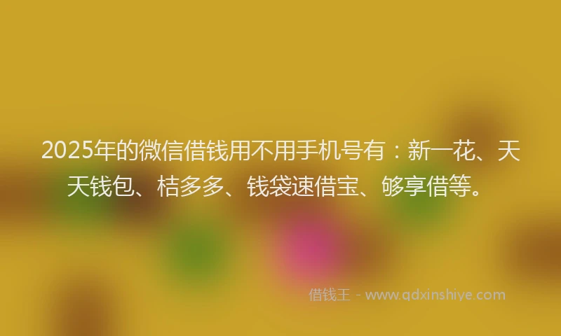 2025年的微信借钱用不用手机号有：新一花、天天钱包、桔多多、钱袋速借宝、够享借等。