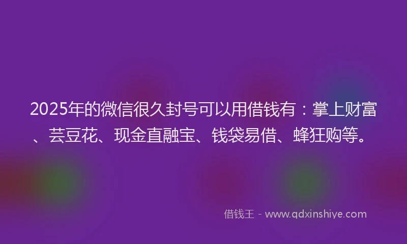 2025年的微信很久封号可以用借钱有：掌上财富、芸豆花、现金直融宝、钱袋易借、蜂狂购等。