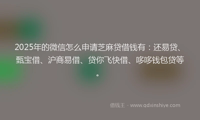 2025年的微信怎么申请芝麻贷借钱有：还易贷、甄宝借、沪商易借、贷你飞快借、哆哆钱包贷等。