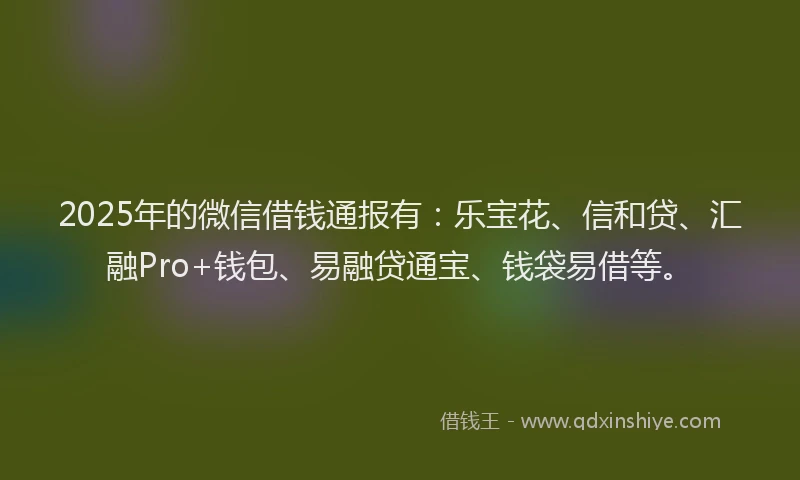 2025年的微信借钱通报有：乐宝花、信和贷、汇融Pro+钱包、易融贷通宝、钱袋易借等。
