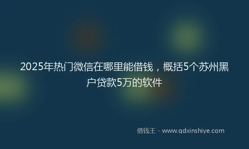 2025年热门微信在哪里能借钱，概括5个苏州黑户贷款5万的软件