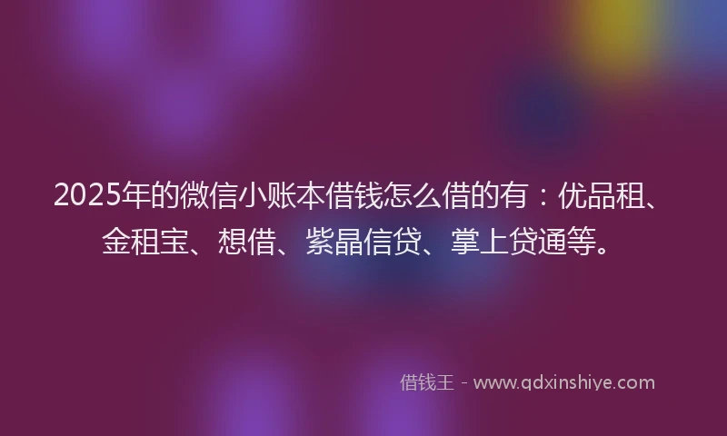 2025年的微信小账本借钱怎么借的有：优品租、金租宝、想借、紫晶信贷、掌上贷通等。