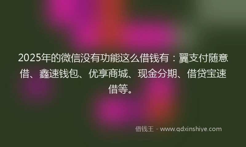 2025年的微信没有功能这么借钱有：翼支付随意借、鑫速钱包、优享商城、现金分期、借贷宝速借等。