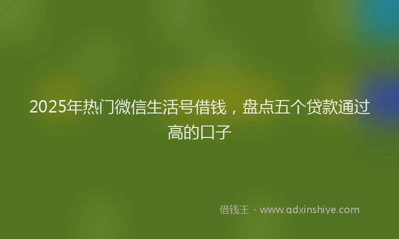 2025年热门微信生活号借钱，盘点五个贷款通过高的口子