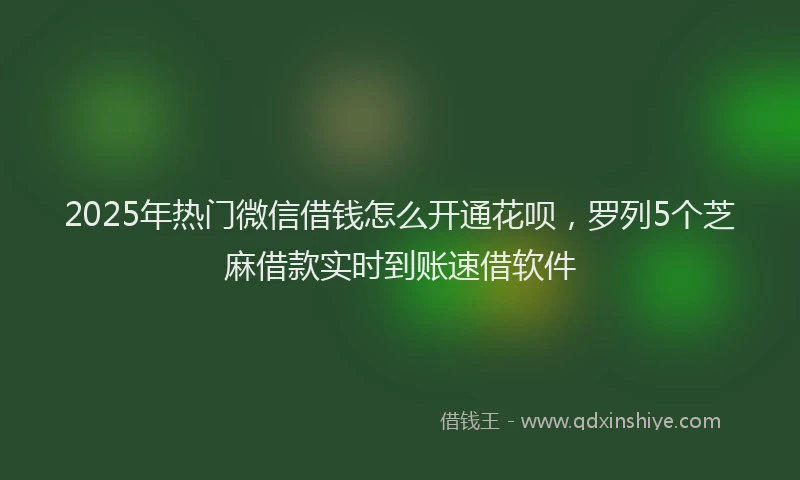 2025年热门微信借钱怎么开通花呗，罗列5个芝麻借款实时到账速借软件