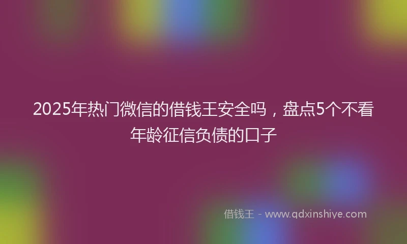 2025年热门微信的借钱王安全吗，盘点5个不看年龄征信负债的口子