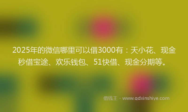 2025年的微信哪里可以借3000有：天小花、现金秒借宝途、欢乐钱包、51快借、现金分期等。