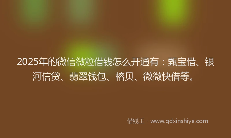 2025年的微信微粒借钱怎么开通有：甄宝借、银河信贷、翡翠钱包、榕贝、微微快借等。
