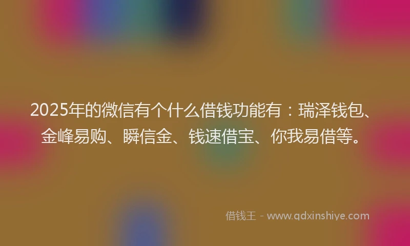 2025年的微信有个什么借钱功能有：瑞泽钱包、金峰易购、瞬信金、钱速借宝、你我易借等。