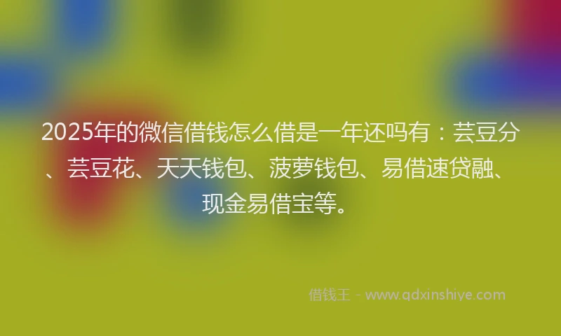 2025年的微信借钱怎么借是一年还吗有：芸豆分、芸豆花、天天钱包、菠萝钱包、易借速贷融、现金易借宝等。