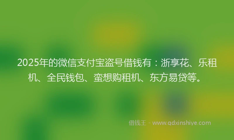 2025年的微信支付宝盗号借钱有：浙享花、乐租机、全民钱包、蛮想购租机、东方易贷等。