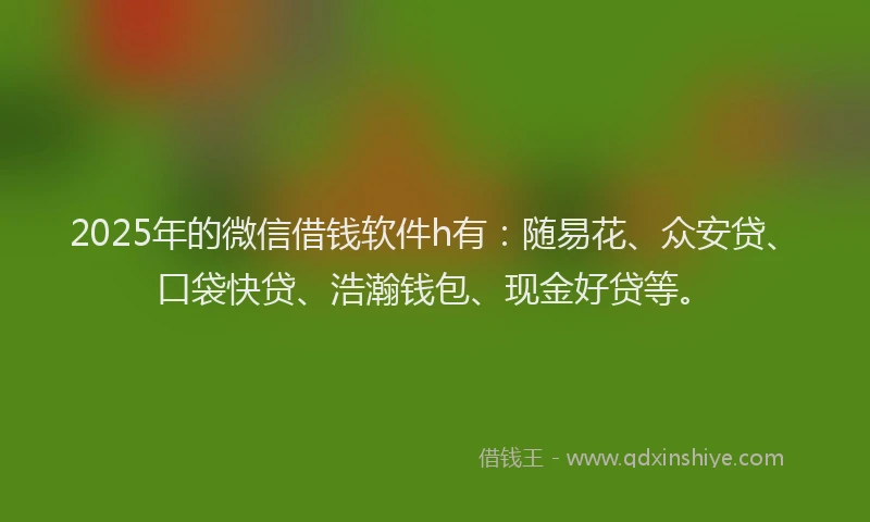 2025年的微信借钱软件h有：随易花、众安贷、口袋快贷、浩瀚钱包、现金好贷等。