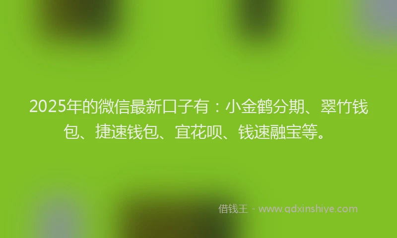 2025年的微信最新口子有：小金鹤分期、翠竹钱包、捷速钱包、宜花呗、钱速融宝等。