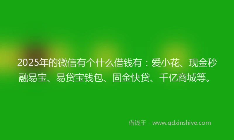 2025年的微信有个什么借钱有：爱小花、现金秒融易宝、易贷宝钱包、固金快贷、千亿商城等。