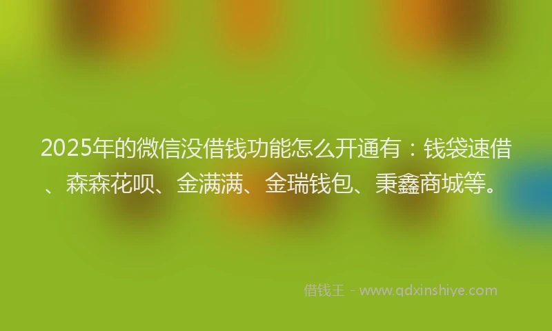 2025年的微信没借钱功能怎么开通有：钱袋速借、森森花呗、金满满、金瑞钱包、秉鑫商城等。