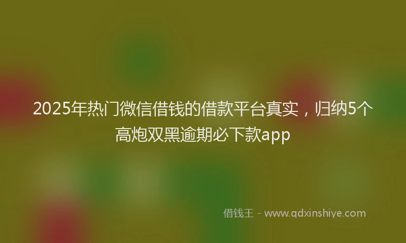 2025年热门微信借钱的借款平台真实，归纳5个高炮双黑逾期必下款app