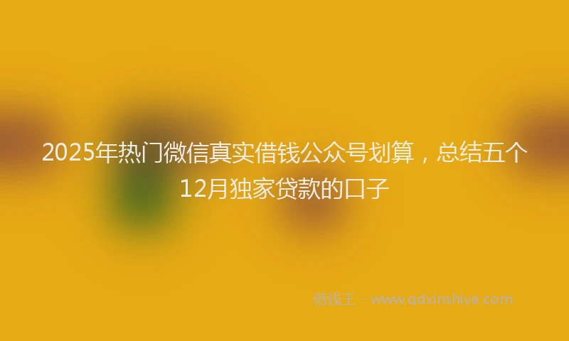 2025年热门微信真实借钱公众号划算，总结五个12月独家贷款的口子