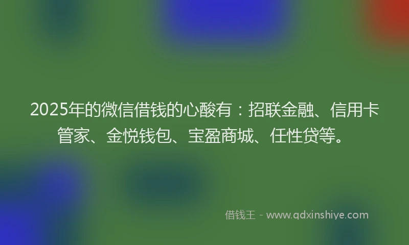 2025年的微信借钱的心酸有：招联金融、信用卡管家、金悦钱包、宝盈商城、任性贷等。