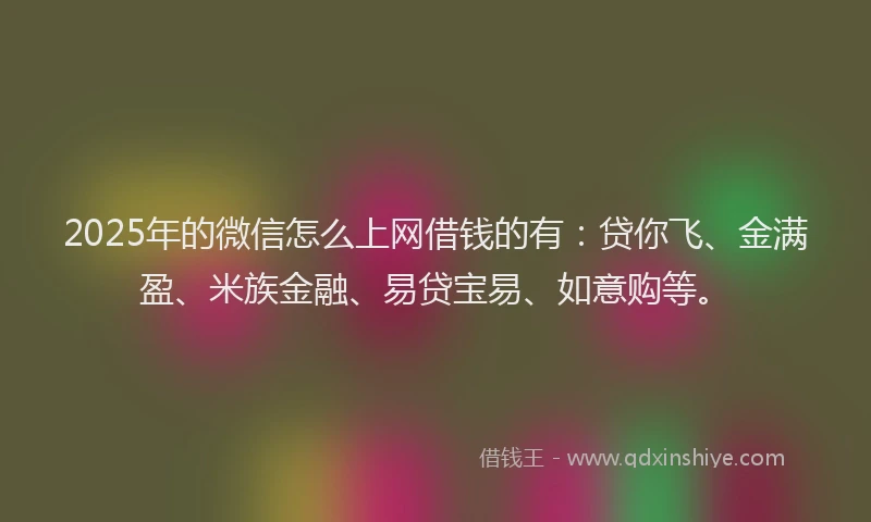 2025年的微信怎么上网借钱的有：贷你飞、金满盈、米族金融、易贷宝易、如意购等。