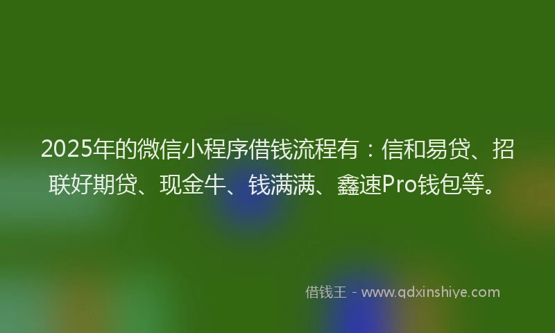 2025年的微信小程序借钱流程有：信和易贷、招联好期贷、现金牛、钱满满、鑫速Pro钱包等。