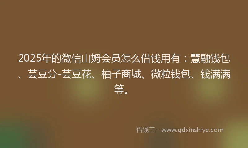 2025年的微信山姆会员怎么借钱用有：慧融钱包、芸豆分-芸豆花、柚子商城、微粒钱包、钱满满等。