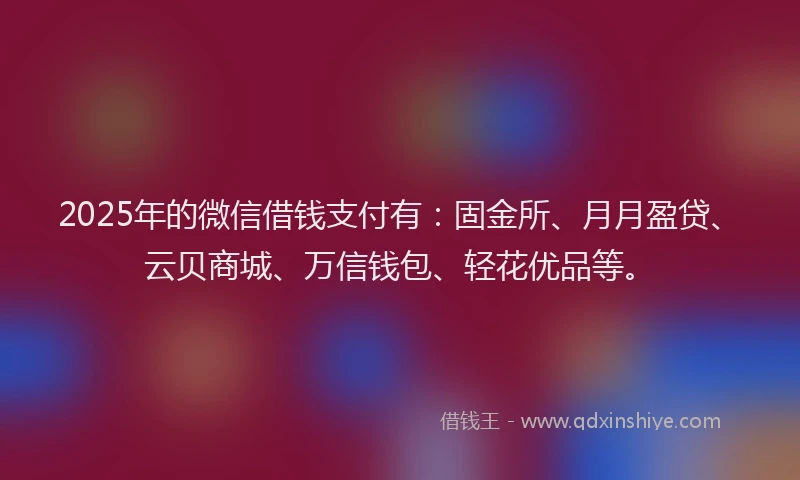 2025年的微信借钱支付有：固金所、月月盈贷、云贝商城、万信钱包、轻花优品等。