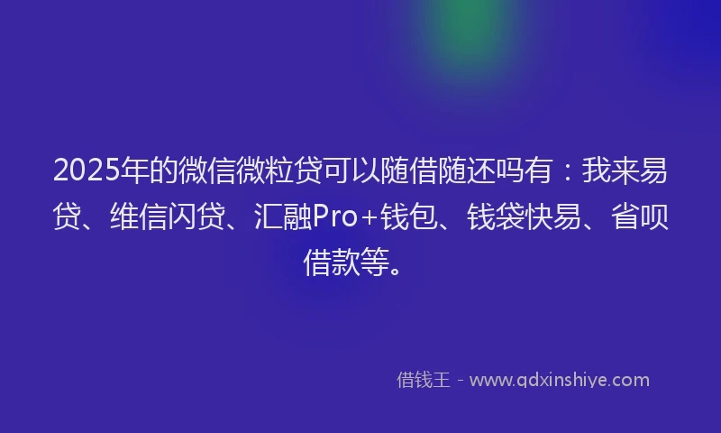 2025年的微信微粒贷可以随借随还吗有：我来易贷、维信闪贷、汇融Pro+钱包、钱袋快易、省呗借款等。