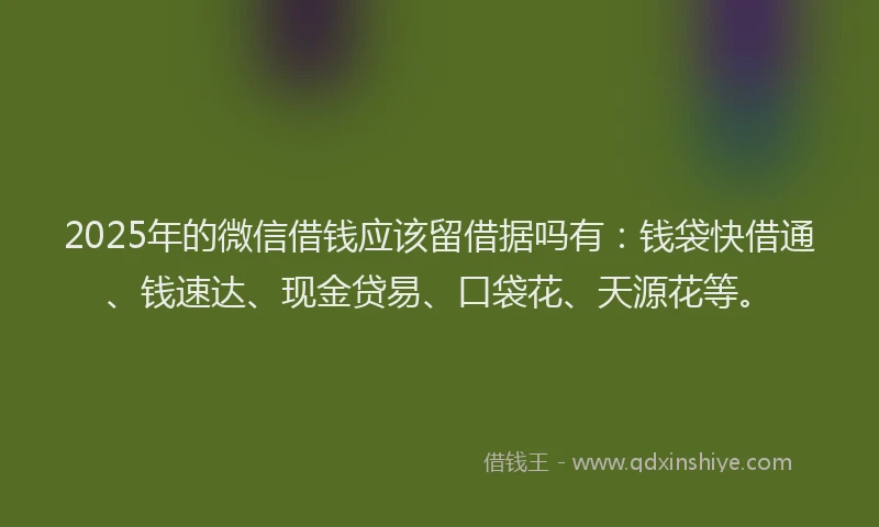 2025年的微信借钱应该留借据吗有：钱袋快借通、钱速达、现金贷易、口袋花、天源花等。