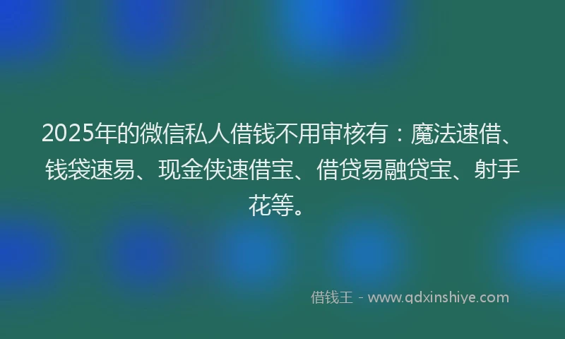 2025年的微信私人借钱不用审核有：魔法速借、钱袋速易、现金侠速借宝、借贷易融贷宝、射手花等。