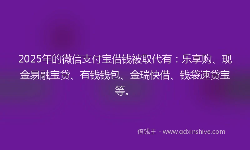 2025年的微信支付宝借钱被取代有：乐享购、现金易融宝贷、有钱钱包、金瑞快借、钱袋速贷宝等。