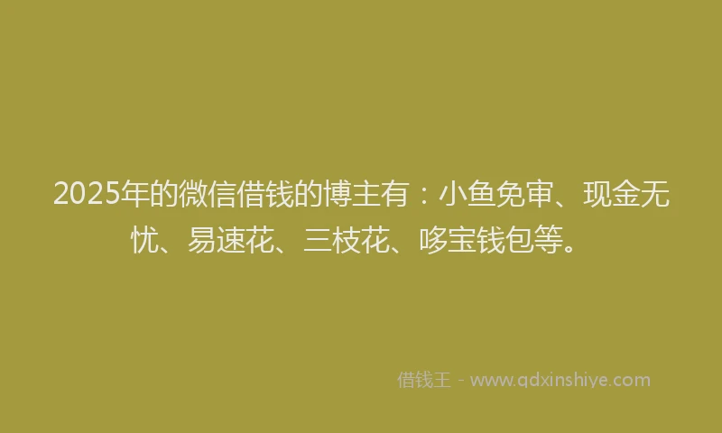 2025年的微信借钱的博主有：小鱼免审、现金无忧、易速花、三枝花、哆宝钱包等。