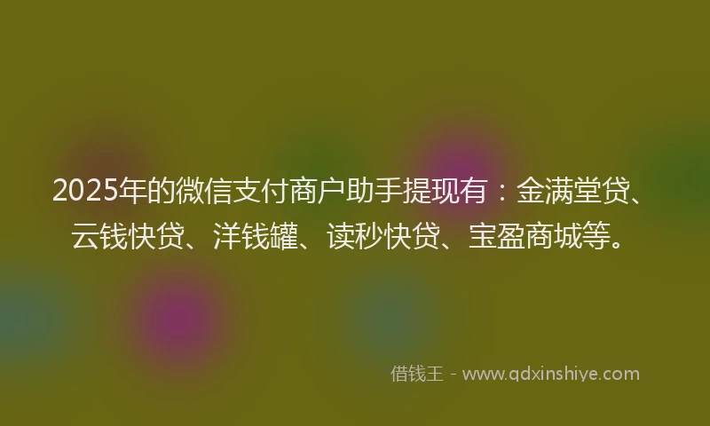 2025年的微信支付商户助手提现有：金满堂贷、云钱快贷、洋钱罐、读秒快贷、宝盈商城等。