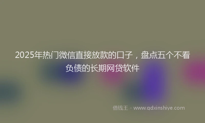 2025年热门微信直接放款的口子，盘点五个不看负债的长期网贷软件